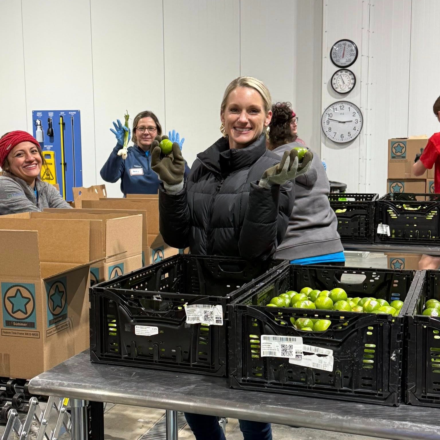 Office and operations at 113 PROPERTY LTD